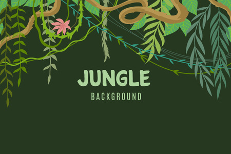 Jungle tropical background. Wildlife adventure in rainforest. Lina and leaves vegetation frame. Exotic landscape vector concept. Illustration of tree and green leaf tropicのイラスト素材
