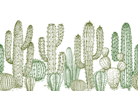 Cactus seamless pattern. Sketch desert cactuses plants endless border for western landscape vector illustration. Seamless pattern cactus sketch, floral botanicalのイラスト素材