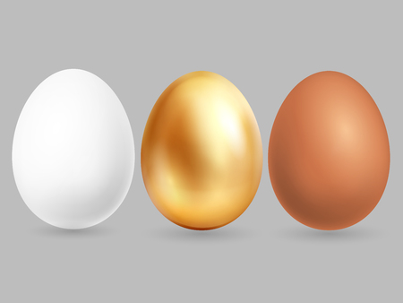 Three realistic eggs isolated on grey background. Vector eggs chicken golden, brown and white illustrationのイラスト素材