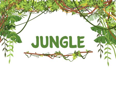 Jungle exotic leaves and lianes vector background. Tropical nature tree forest, jungle plant summer with place for text illustrationのイラスト素材
