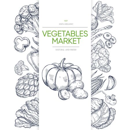 Vegetable markets banner template with hand drawn green. Illustration of vegetarian healthy vegetable, pumpkin and brocoli, corn and pepperのイラスト素材