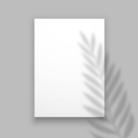 Shadow plant. Overlay palm leaf effect on paper sheet. Summer invitation or card or poster. Vector minimalistic blurred banner mockup. Paper sheet with palm leaf shadow illustrationのイラスト素材