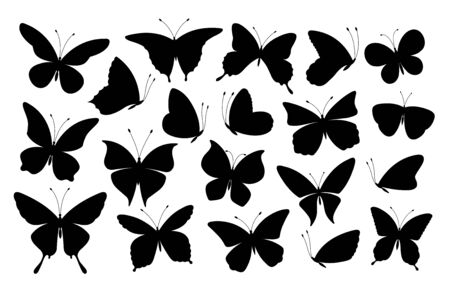 Black butterfly silhouettes. Butterflies icons, flying insects. Isolated abstract art spring symbols and tattoo elements vector collection. Illustration butterfly silhouette, black and white insectのイラスト素材