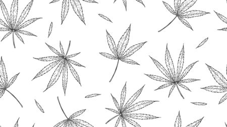 Cannabis pattern. marijuana leaves, hand drawn hemp background. medical natural healing leaf vector seamless texture. Seamless hemp and cannabis pattern illustrationのイラスト素材