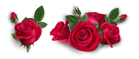 Realistic bouquet of roses. Isolated red rose with leaves. Wedding boutonniere, floral decorative element vector illustration. Rose floral bouquet, flower blossom decorationのイラスト素材