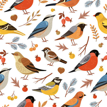 Forest winter birds pattern. Forest animal background, flat snowy tree branches. Holiday bullfinch leaves berries, wildlife vector texture. Seasonal drawing pattern, wild winter birds illustrationのイラスト素材