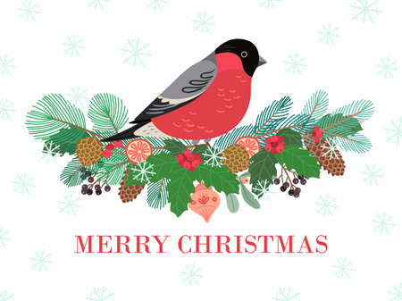 Bird winter banner. Christmas forest, bullfinch on natural branch border. Holiday berries cone, traditional new year decor vector illustration. Berry branch and bullfinch bird, winter holidayのイラスト素材