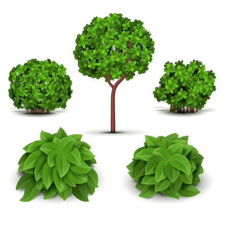 Garden bush with green leaves vector set. Green bush plant, illustration of garden treeのイラスト素材