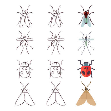 Flat, line and skech icons of insects set. Vector illustrationのイラスト素材