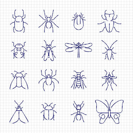 Sketch drawing line insect icons collection on paper sheet. Vector illustrationのイラスト素材