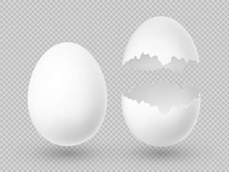 Realistic vector white eggs with whole and broken shell isolated on transparent background illustrationのイラスト素材