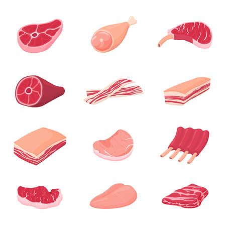 Meat products. Fresh tasty meats, isolated raw beef pork ribs. Chicken fillet, lunch dinner food. Sirloins pieces, butchery market recent vector set. Tasty fresh meat, beef fot barbecue cookingのイラスト素材