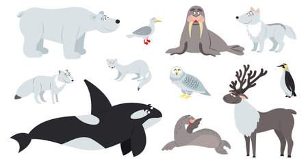 Arctic animals. Polar animal, cartoon cute bear walrus penguin. Flat fun antarctic seal, north pole wildlife. Reindeer fox childish vector set. Illustration arctic fox and seagull, penguin faunaのイラスト素材