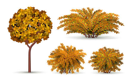Realistic tree and bush. Autumn shrub, seasonal hedge elements. Isolated garden plants and topiary for landscape vector design. Illustration of tree plant autumn, bush and leafのイラスト素材