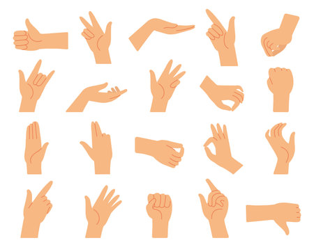 Different hand gestures. Hands gesture collection, arms pressed position. Fingers signal, diverse manual poses of language decent vector set. Illustration of hand gesture palm and pointingのイラスト素材