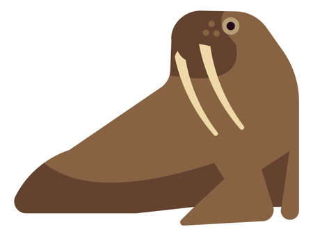 Arctic walrus icon. Marine animal with big teeth isolated on white backgroundのイラスト素材