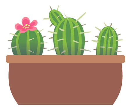 Cactus in pot. Cute succulent house plant with pink flower isolated on white backgroundのイラスト素材