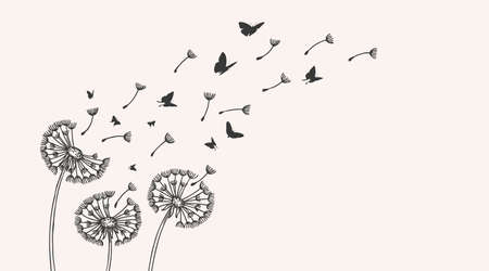 Dandelion. Sketch dandelions, flying seeds and butterflies silhouettes. Floral garden, wild flowers background. Freedom metaphor, vector illustration. Dandelion drawing flower summerのイラスト素材