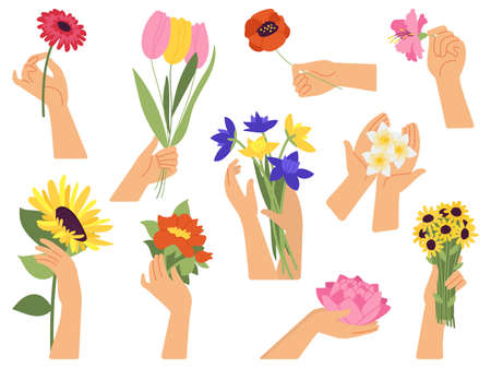 Flowers in female hands. Hand holding bouquets, spring summer garden flower. Botanical collection, women gift and florist hobby decent vector set. Illustration of bouquet female flower in handのイラスト素材
