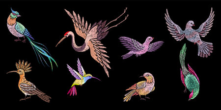 Embroidery birds. Stitch bird patches, embroidered oriental asian elements. Swallow, crane and hummingbird. Flying on wings, nowaday vector set. Illustration of birds embroidery decorのイラスト素材