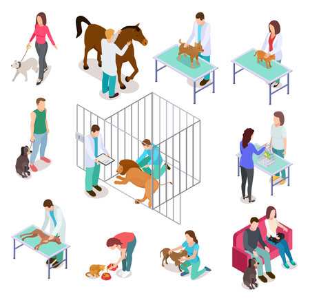Isometric veterinary. Animals shelter people pet dog cat veterinarian volunteer veterinarians medicine clinic vector isolated set. Medical care dog cat, veterinary clinic, people with pet illustrationのイラスト素材