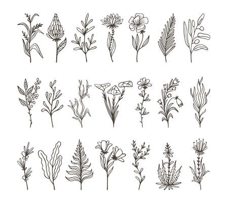 Simple floral branches. Sketch flourish botanical plants, flower and leaf of wild nature. Minimal graphic, tattoo or cutter stencil. Black art vector set. Illustration of floral flourish botanicalのイラスト素材