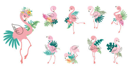 Tropical pink flamingo. Cartoon flamingos clipart with exotic palm leaves. Different africa birds, beach party stickers. Cute nowaday vector animal clipart. Illustration of bird pink exotic cartoonのイラスト素材