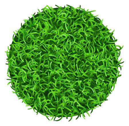 Grass circle. Realistic lawn round patch top view isolated on white backgroundのイラスト素材