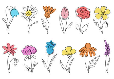 One line flowers. Continuous lines minimalist flower elements. Artwork drawing, botanical simple floral daisy. Blossom nature decent vector set of flower sketch graphic summerのイラスト素材