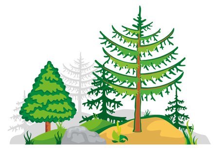 Rocky ground wiith growing coniferous trees. Nature landscape isolated on white backgroundのイラスト素材
