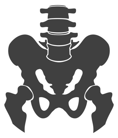 Pelvis bones black icon. Human body structure isolated on white backgroundのイラスト素材