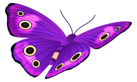 Purple butterfly with bright patterned wings. Flying moth isolated on white backgroundのイラスト素材
