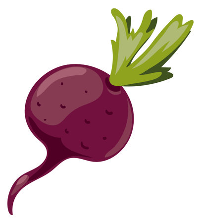 Beet icon. Cartoon beeetroot. Sugar red root isolated on white backgroundのイラスト素材