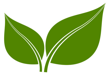 Green leaf icon. Eco symbol. Natural sign isolated on white backgroundのイラスト素材