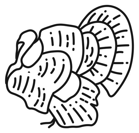 Turkey line icon. Domestic bird. Farm animal isolated on white backgroundのイラスト素材