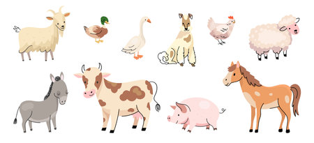Doodle farm animals characters. Animal farms, cartoon calf, goat and sheep. Isolated cow and horse, duck and chicken. Nowaday agricultural vector set of farm character illustrationのイラスト素材
