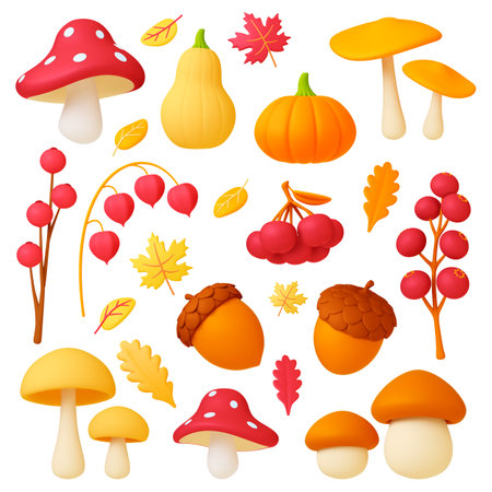 Autumn 3d elements, falls leaves, decorative nature objects. Mushrooms, realistic plasticine acorns, berry branches and pumpkins. Maple leaf pithy vector set of fall pumpkin and rowan illustrationのイラスト素材