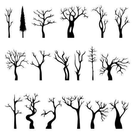 Black naked tree silhouettes, isolated winter flat trees. Dead dry branch, trunk marple or oak. Abstract fall forest, neoteric vector nature set of black tree silhouette environment illustrationのイラスト素材
