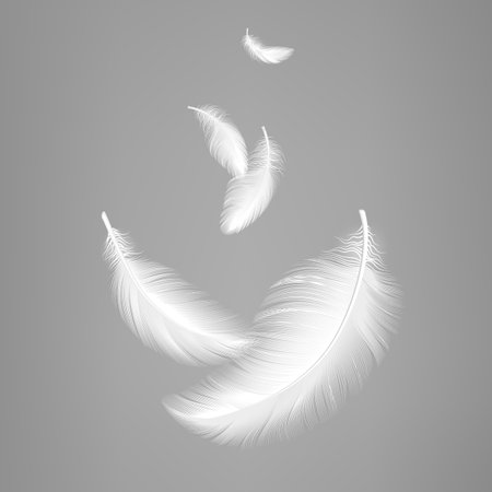 White flying realistic feathers. Bird feather composition, lightness effect of pillows or air. Vector decorative graphic elements of realistic feather soft, quill and plumage illustrationのイラスト素材