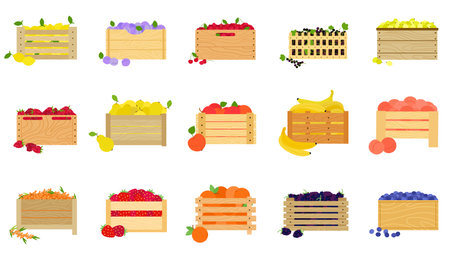 Fruits in wooden boxes and crates. Box with fruit, berries in crate. Wood organic market pack, harvest fresh agriculture ingredients, decent vector set of fruit box crate illustrationのイラスト素材