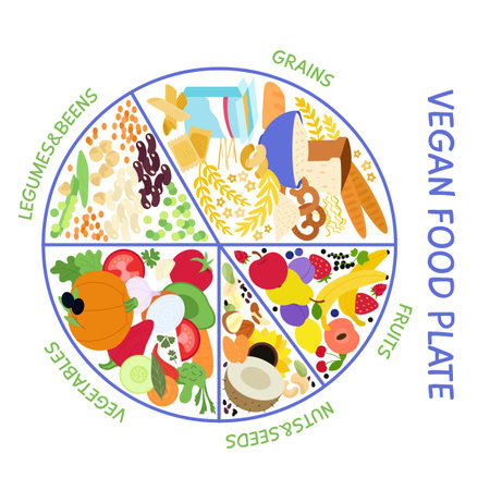 Vegan food plate. Vegetarian infographic for healthy eating, vitamins and minerals balance. Seeds, vegetables and cereals decent vector info poster of vegetarian diet healthy illustrationのイラスト素材