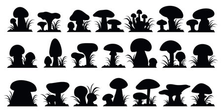 Black mushroom silhouettes, fungus in grass icons. Forest mushrooms graphic elements, decorative stickers. Nature organic vegan food, decent vector set fungus mushroom, black silhouette illustrationのイラスト素材