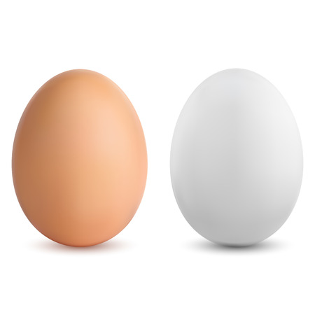 Two brown and white vector realistic eggs. 3D realistic vector illustration of chicken eggs for cooking, gastronomy and food.のイラスト素材