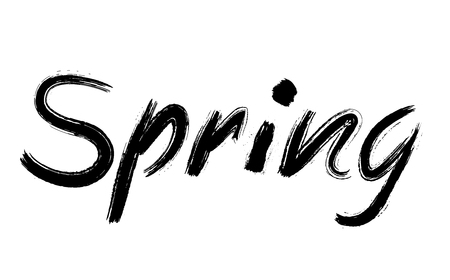 Spring text written by hand in grunge letters in bold font isolated on white background. Spring hand sketched logotype, retro, vintage lettering banner, poster, template background, badge.のイラスト素材