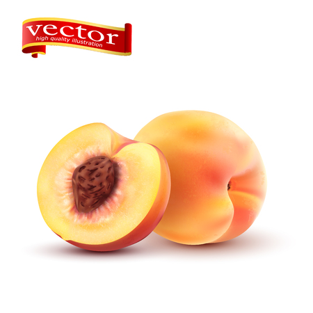 Realistic Ripe peaches, whole and slice. Peach juicy sweet fruit realistic 3d vector high detail isolated on white backgroundのイラスト素材