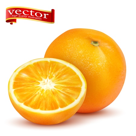 Ripe juicy sweet whole orange and slice vectorのイラスト素材
