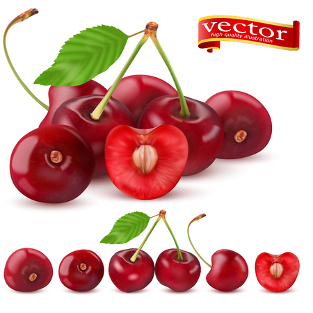 Highly realistic vector ripe juicy cherry with slices, natural texture.のイラスト素材