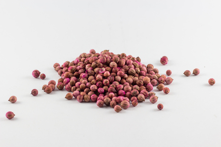 Coriander seed on white backgroundの写真素材