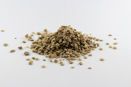 Tomato seed on white backgroundの写真素材