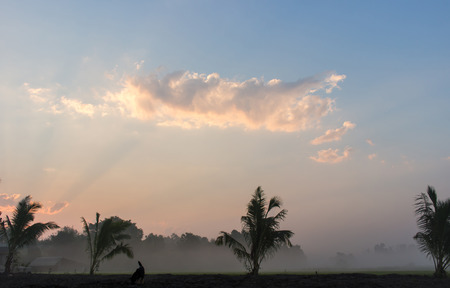 Cloud and fog and light of sunの写真素材